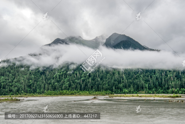 西藏尼洋河風(fēng)光