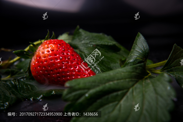 草莓