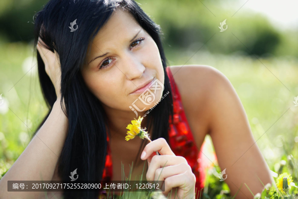 蒲公英女人