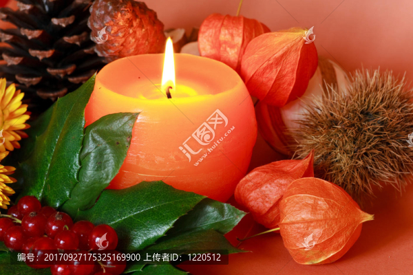 花卉