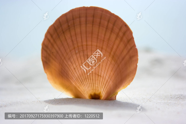 海灘