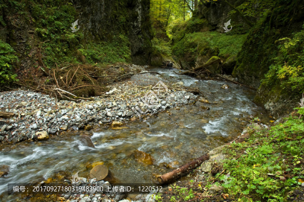 山林中的山溪