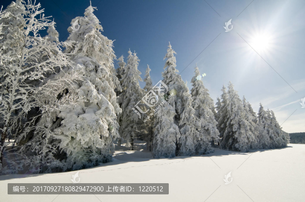 winter200913