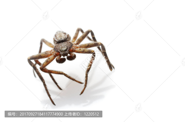 近