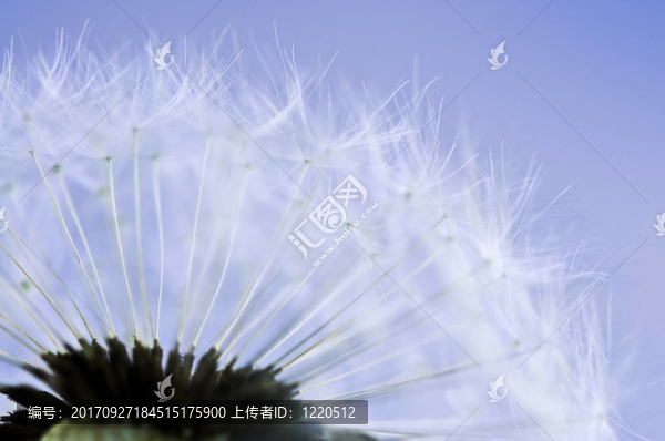 近