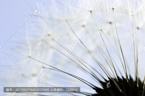 近
