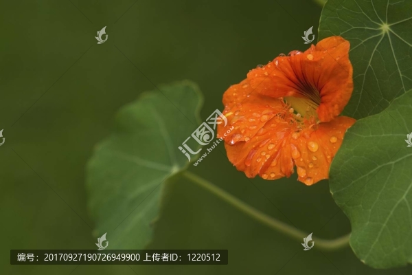 宏觀