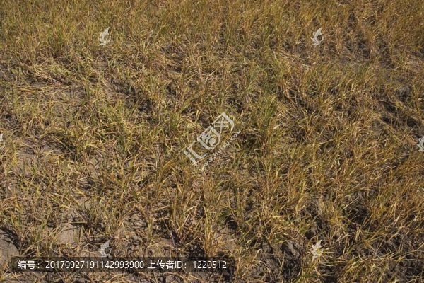 環(huán)境