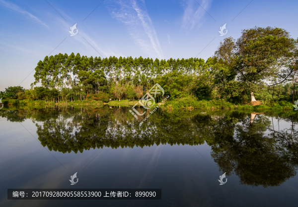 湖泊,樹林