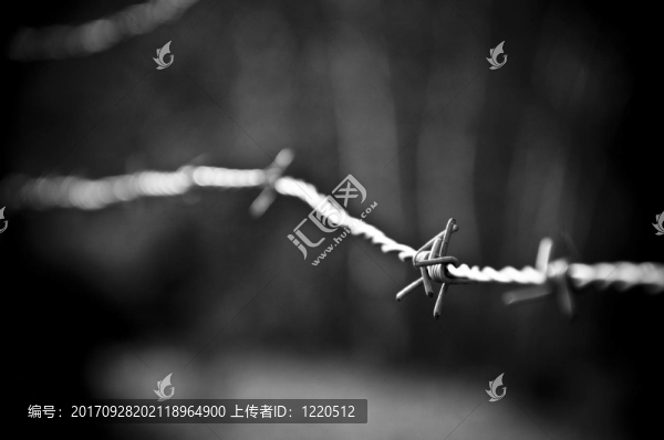 鐵絲網(wǎng)