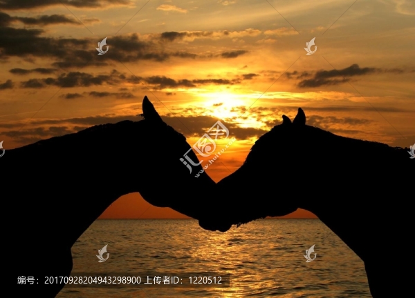 馬的海上日落