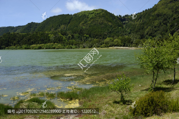 拉戈阿das,Furnas