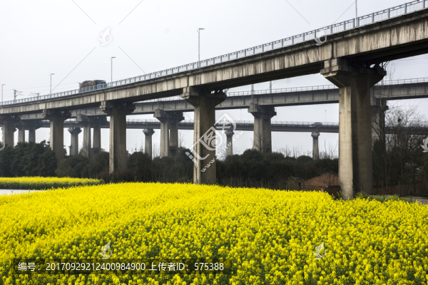橋