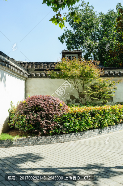 小百花巷