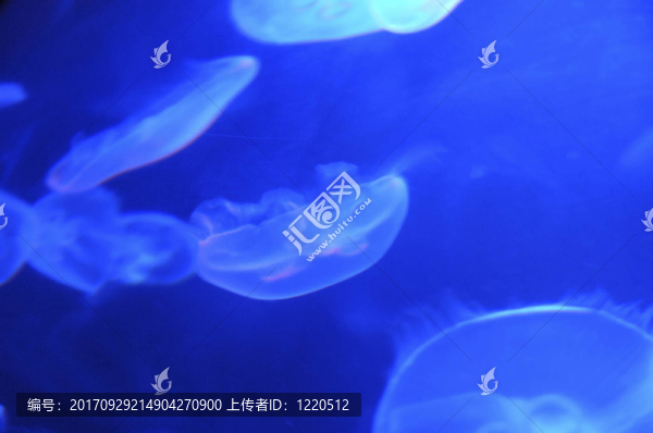 藍色