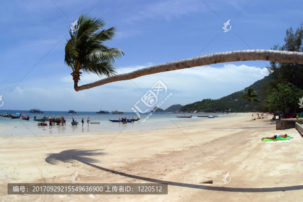 旅游