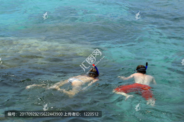 旅行