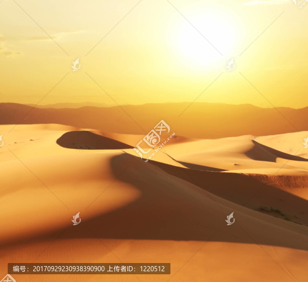 旅行