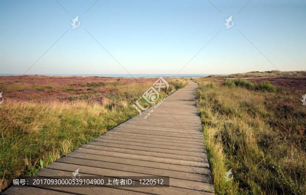 敘爾特島