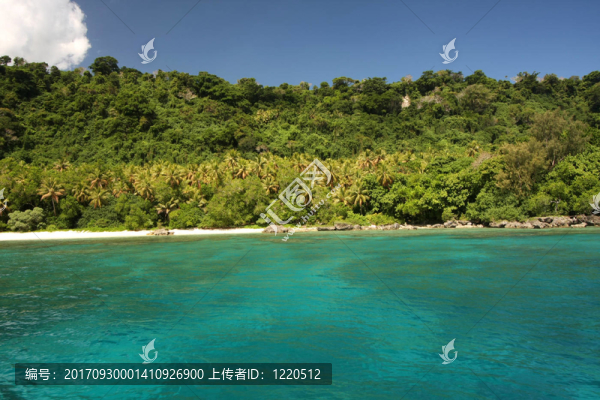 幸存者：冰島