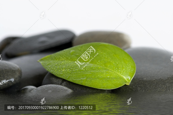 葉