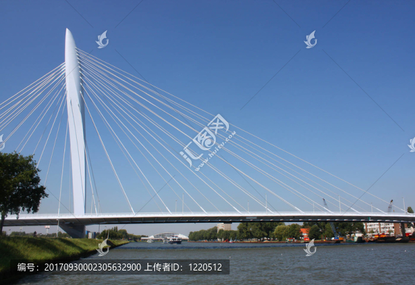 橋