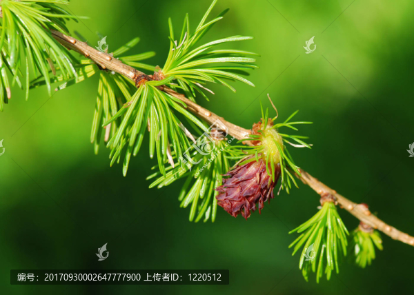 細(xì)節(jié)
