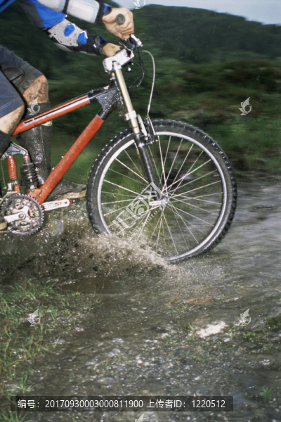運動