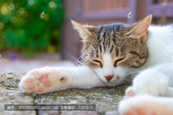 藍(lán)色