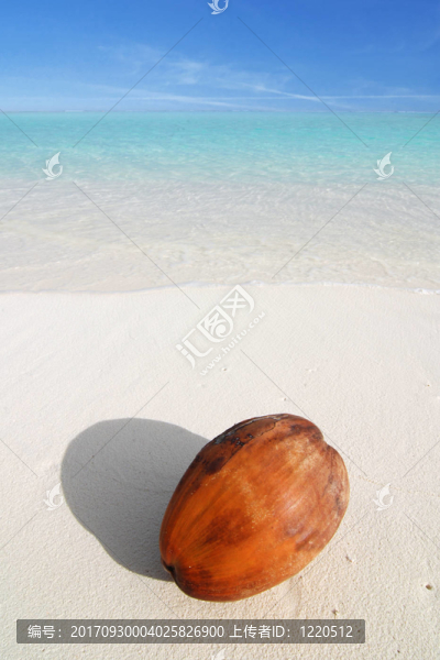 海灘