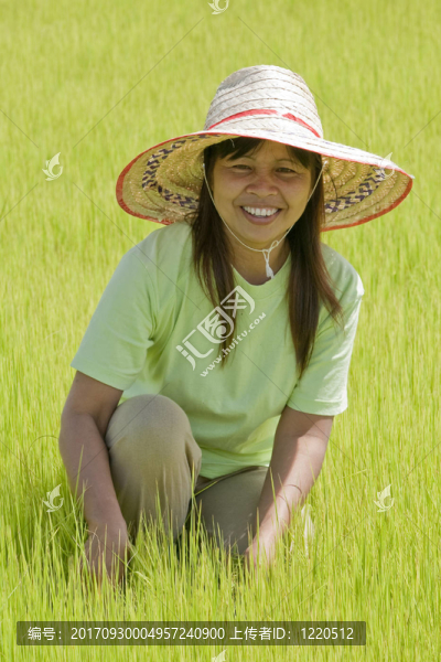 泰國(guó)稻田上的亞洲婦女