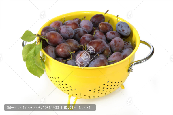 后代