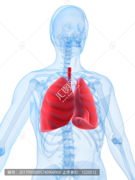 健康