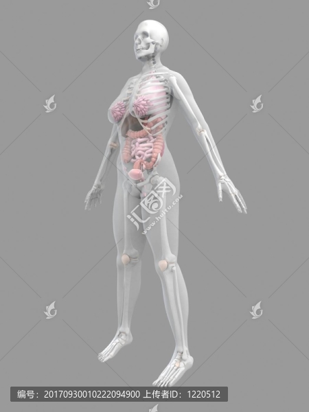 健康