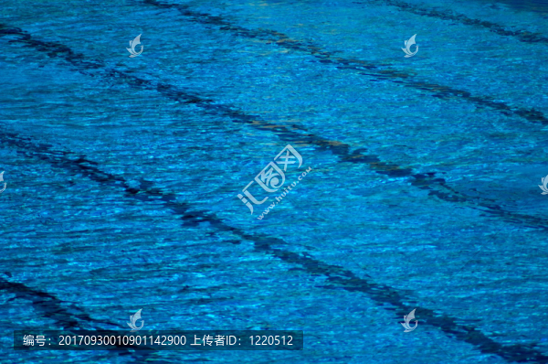 泳道游泳池里的水