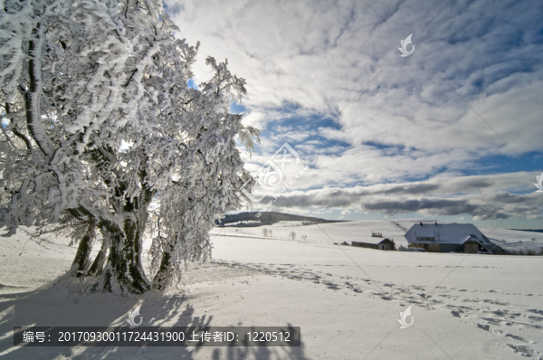 winter200920