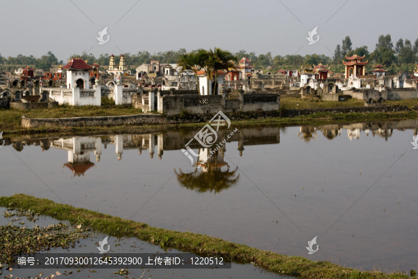 墓地1
