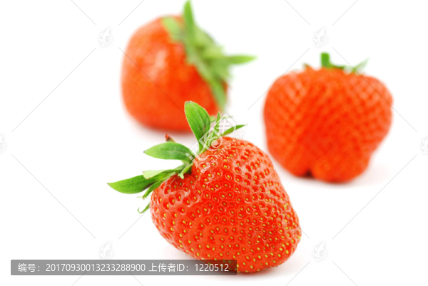 宏宏