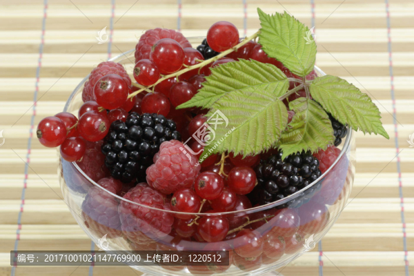 漿果