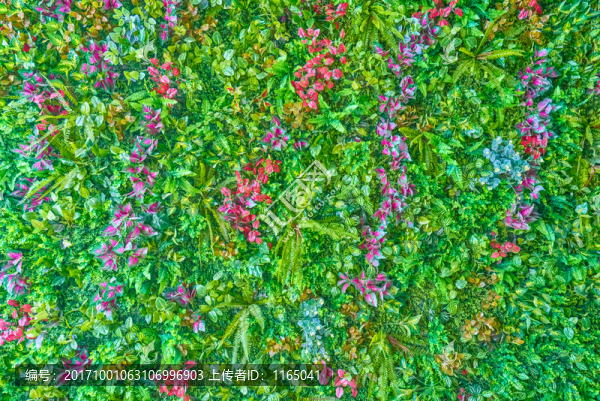 高清綠植花墻