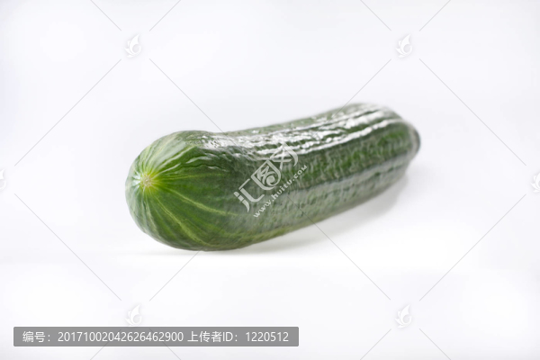 生態(tài)