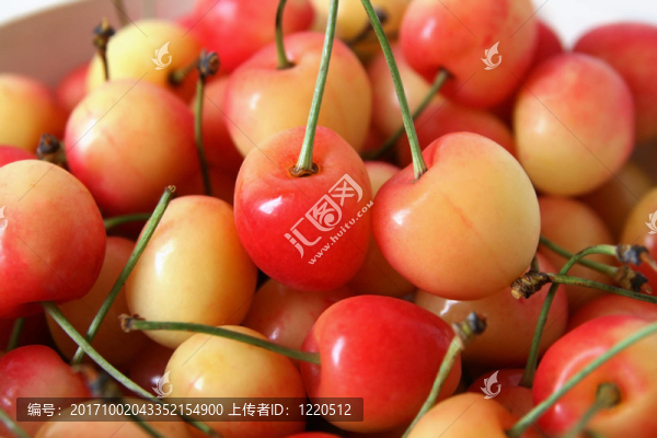 櫻桃