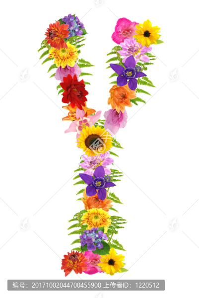Y