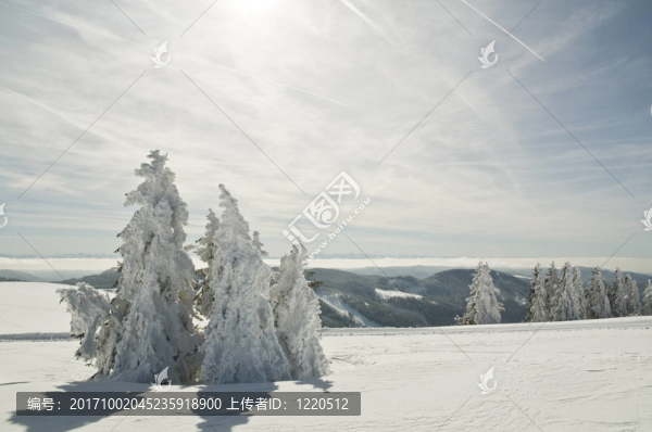 winter200933
