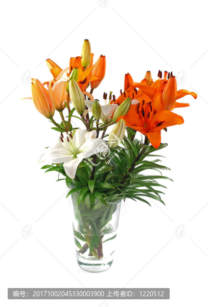 花瓶里的百合花