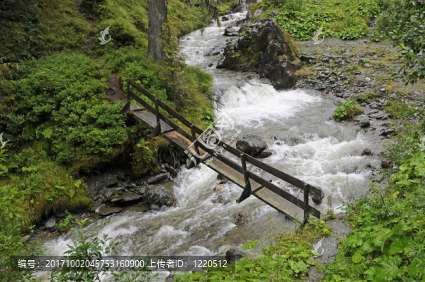 山溪上的橋
