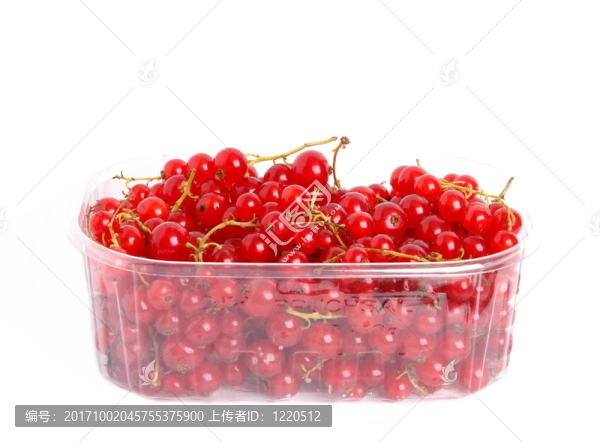 漿果
