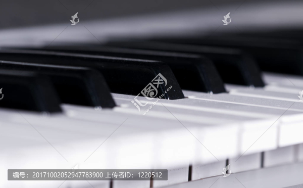 鋼琴鍵盤