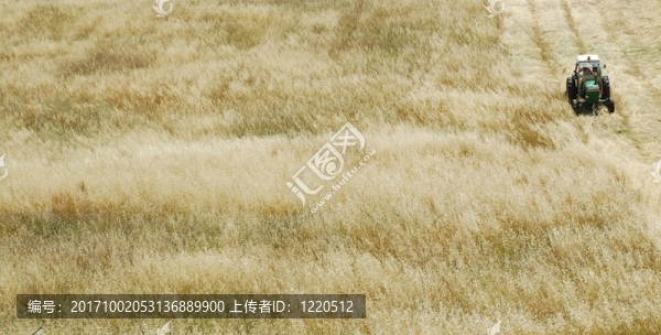 農(nóng)業(yè)
