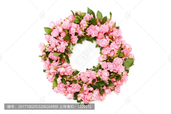 玫瑰花冠